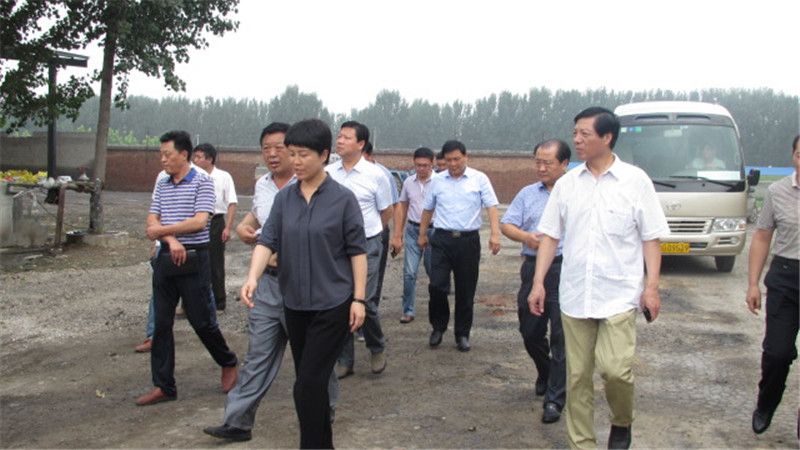 县委书记闫小杏一行莅临我公司检查指导安全工作